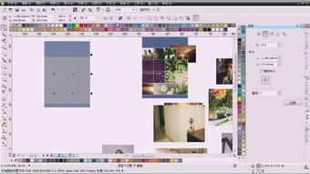 专业之选 打造卓越Logo与VI设计的软件工具指南