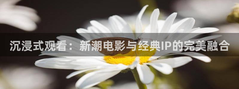 南瓜机：沉浸式观看：新潮电影与经典IP的完美融合