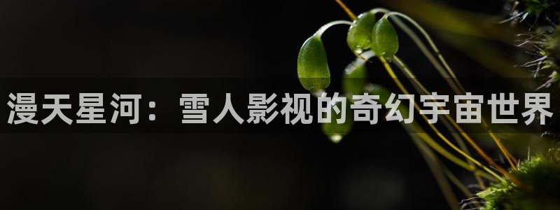 南瓜电影网：漫天星河：雪人影视的奇幻宇宙世界