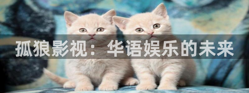 河北省南瓜：孤狼影视：华语娱乐的未来