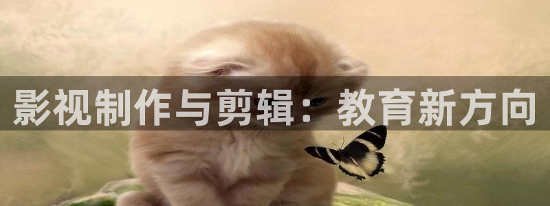 南瓜的：影视制作与剪辑：教育新方向