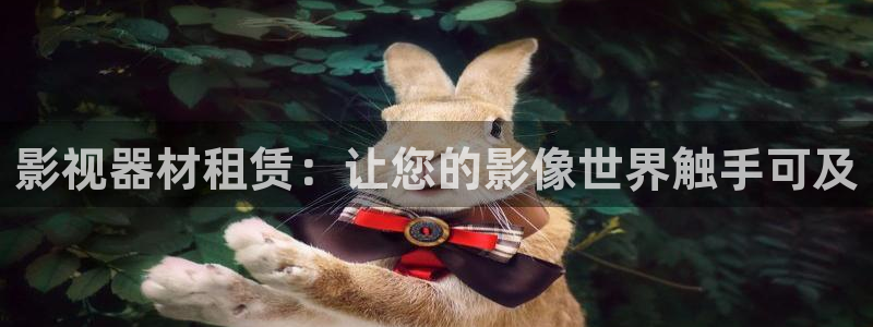南瓜视频免费观看电视剧：影视器材租赁：让您的影像世界触手可及