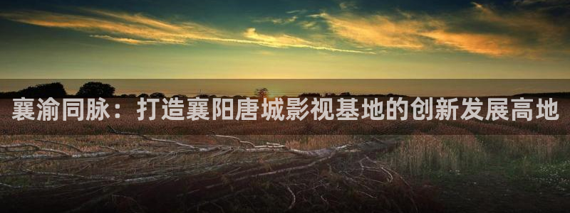 南瓜电影南瓜电影：襄渝同脉：打造襄阳唐城影视基地的创新发展高地