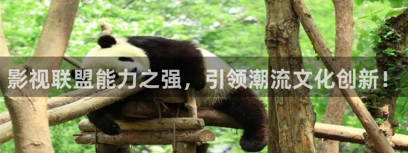 南瓜影：影视联盟能力之强，引领潮流文化创新！