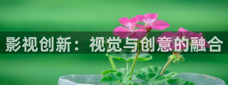 蜜本南瓜云南：影视创新：视觉与创意的融合
