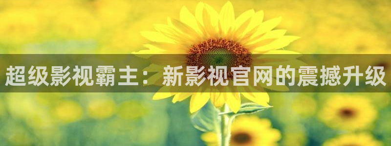 南瓜影视大全官方正版：超级影视霸主：新影视官网的震撼升级