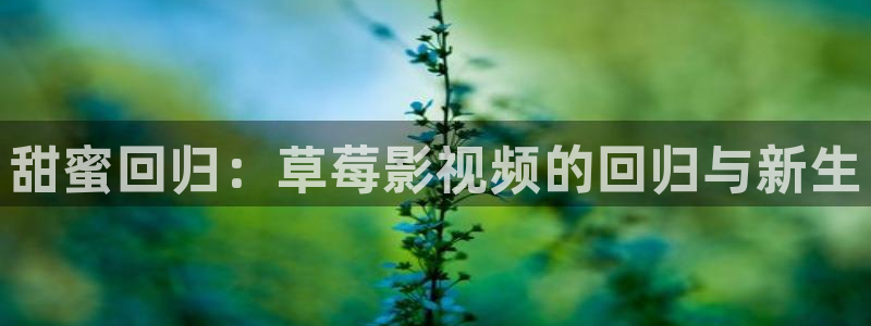 泸州南瓜：甜蜜回归：草莓影视频的回归与新生